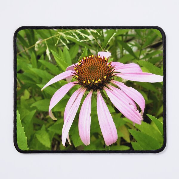 Item preview, Pretty Purple Coneflower designed and sold by CJGrimes.