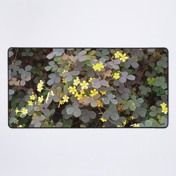 Item preview, Yellow Flower Leaves Photography designed and sold by YueHeng Creates ⭐⭐⭐⭐⭐.