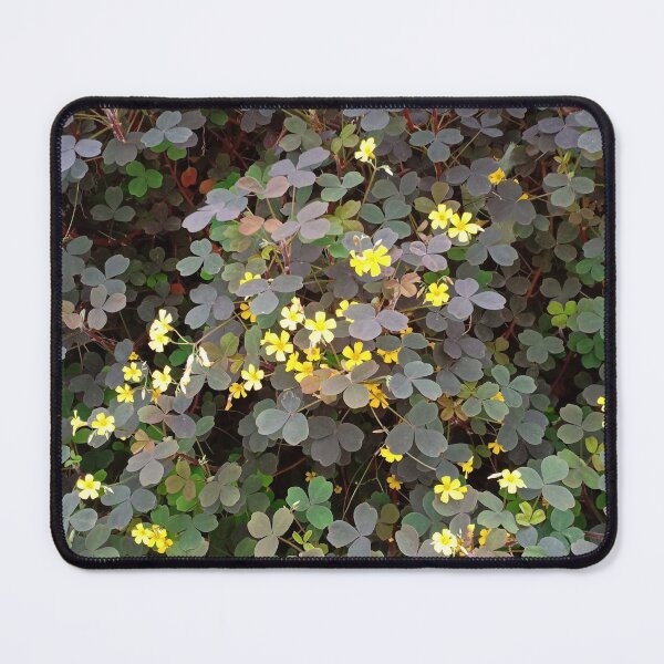 Item preview, Yellow Flower Leaves Photography designed and sold by YueHeng Creates ⭐⭐⭐⭐⭐.