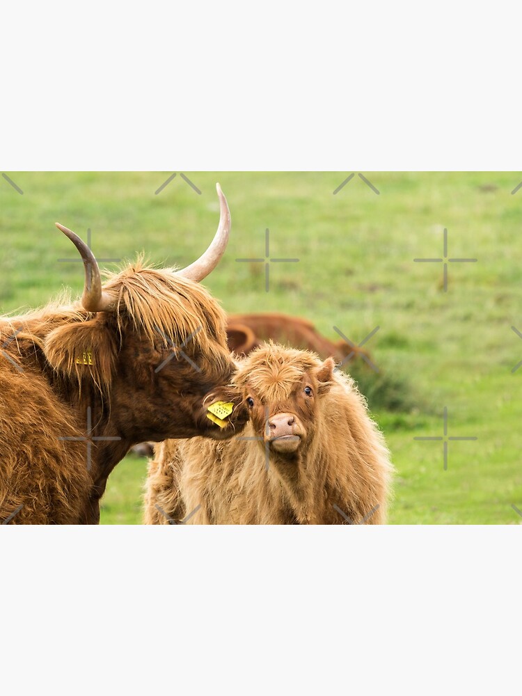 Highland Cow Straw Topper Cattle Ranch Fits Stanley 