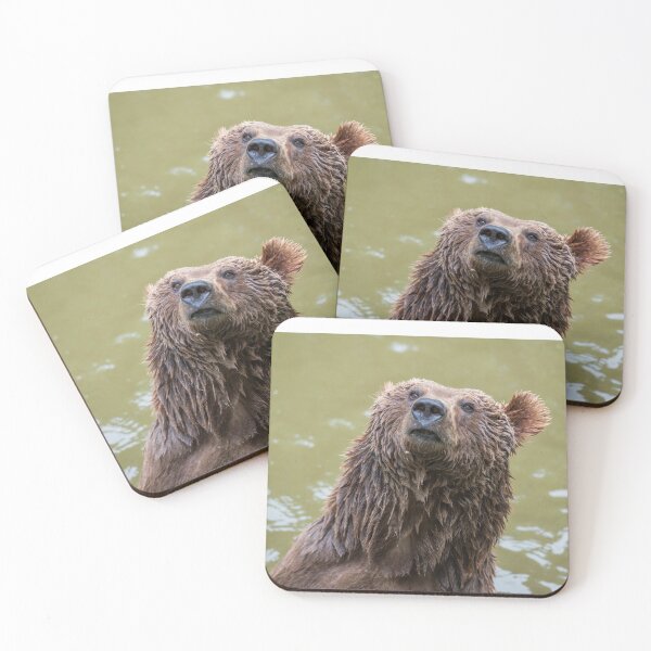 Item preview, Animal character heads-young brown bear after bathing. designed and sold by Ingo Gerlach.