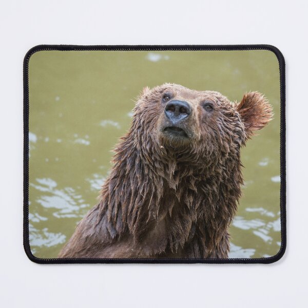 Item preview, Animal character heads-young brown bear after bathing. designed and sold by Ingo Gerlach.