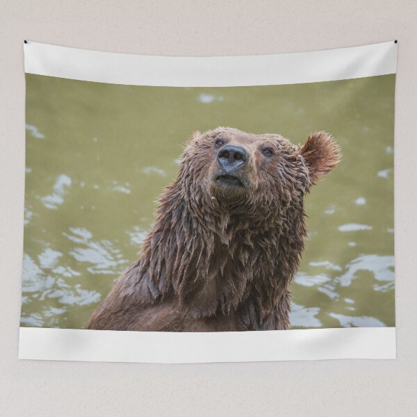 Item preview, Animal character heads-young brown bear after bathing. designed and sold by Ingo Gerlach.