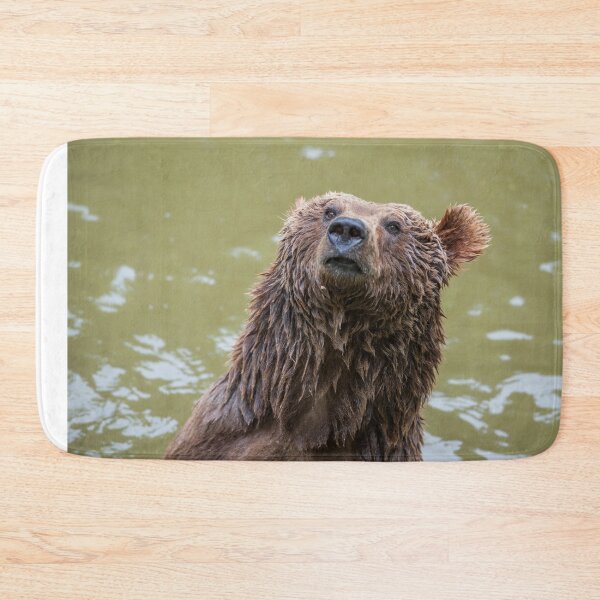 Item preview, Animal character heads-young brown bear after bathing. designed and sold by Ingo Gerlach.