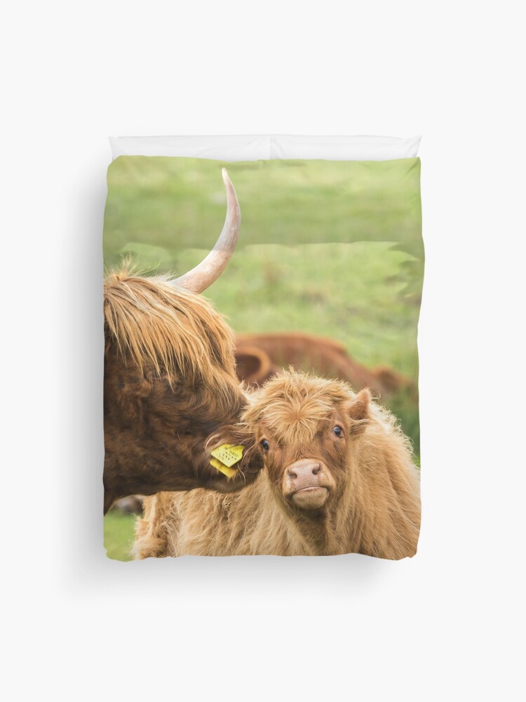 Cheeky Moo, Highland Cow Apron for Sale by Jane Stanley