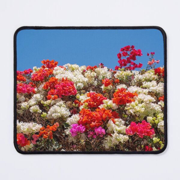 Item preview, Mixed Bougainvillea Flowers designed and sold by iCimages.net.