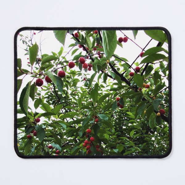 Item preview, Cherry Tree designed and sold by CJGrimes.