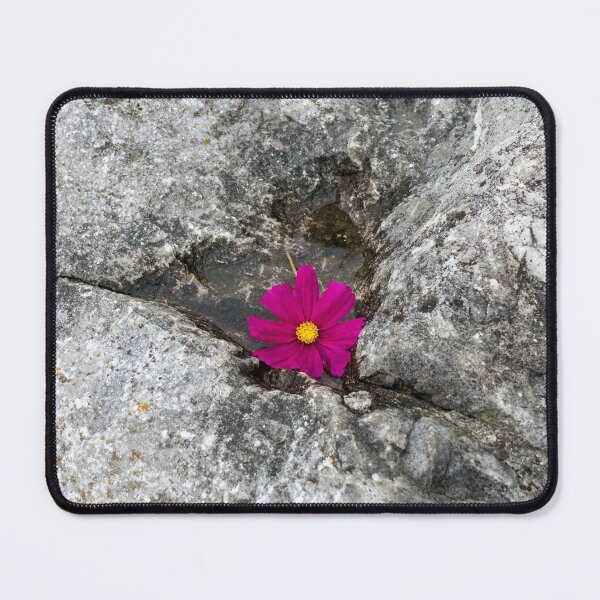 Item preview, Little flower on the rocks designed and sold by iCimages.net.