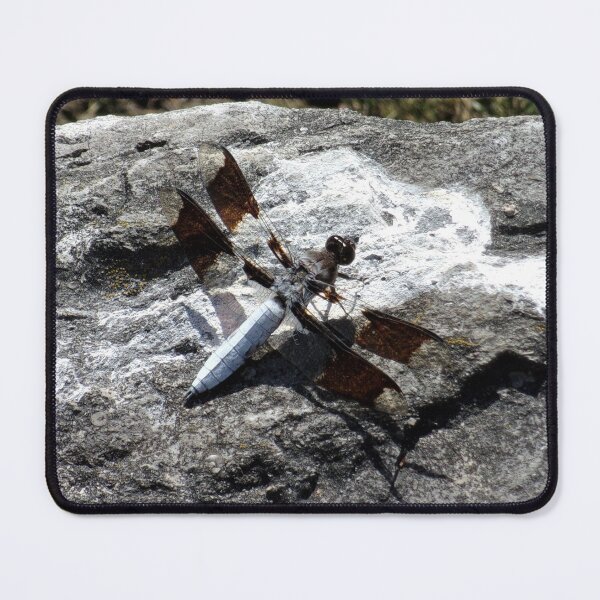 Item preview, Common Whitetail Skimmer designed and sold by CJGrimes.