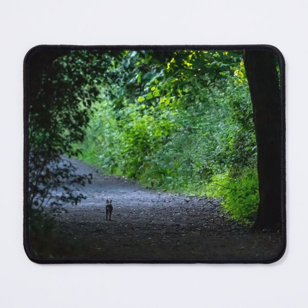 Item preview, Rabbit out for a morning run designed and sold by iCimages.net.