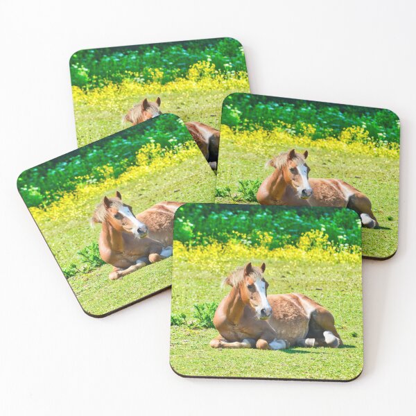 Item preview,  Young Horse Resting in a Grassy Pasture in Wales designed and sold by Sailmates Reflections.