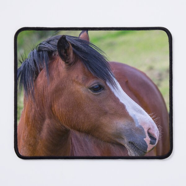 Item preview, Brown horse designed and sold by iCimages.net.