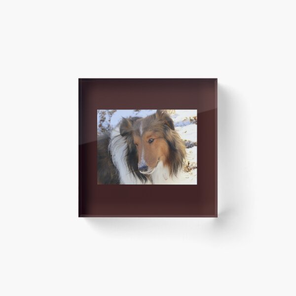 Item preview, Sheltie loves the Snow designed and sold by Shiva77.