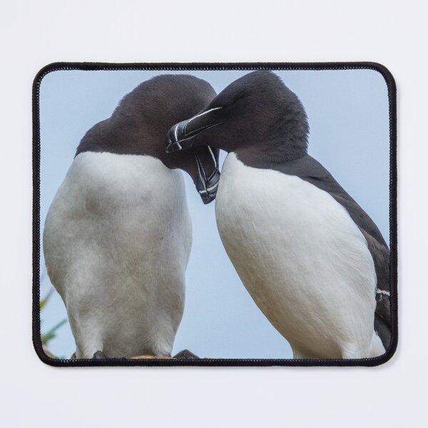 Item preview, Razorbills designed and sold by iCimages.net.