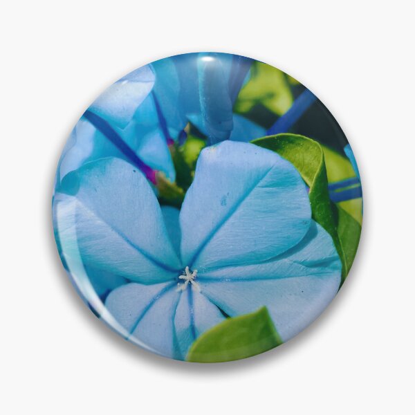 Aperçu de l'œuvre Fleur Bleu créée et vendue par DBangs.
