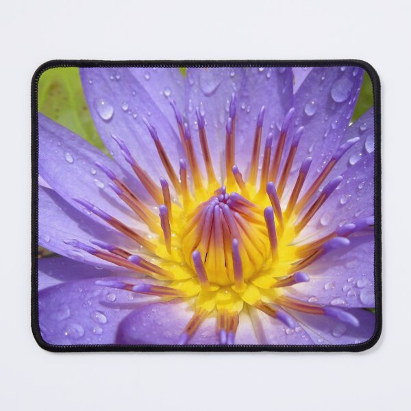 Item preview, Purple Water designed and sold by Vanessa Barklay.