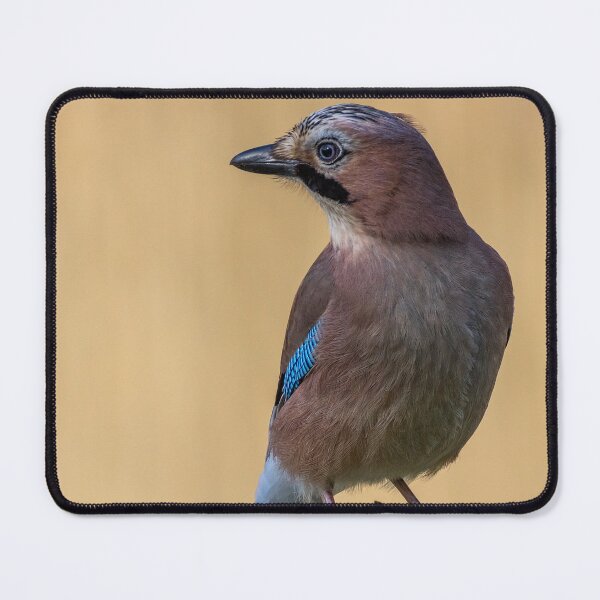Item preview, Jay designed and sold by iCimages.net.