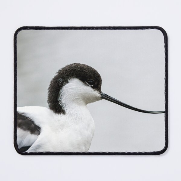 Item preview, Avocet bird designed and sold by iCimages.net.