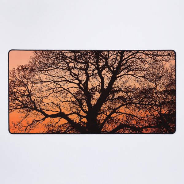 Item preview, A wide old tree in rural countryside at sunset designed and sold by chiaravisuals.