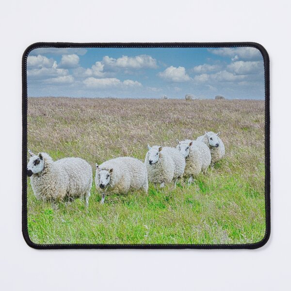 Item preview, Sheep in line on Lundy Island, UK designed and sold by Sailmates Reflections.