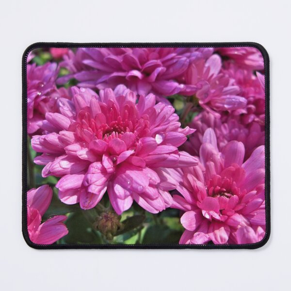 Item preview, Mums designed and sold by CJGrimes.