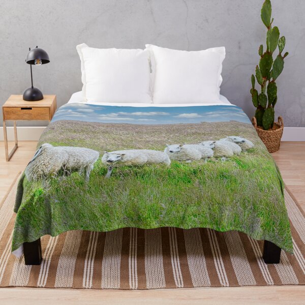 Item preview, Sheep in line on Lundy Island, UK designed and sold by Sailmates Reflections.