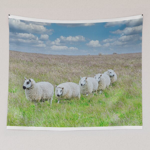 Item preview, Sheep in line on Lundy Island, UK designed and sold by Sailmates Reflections.