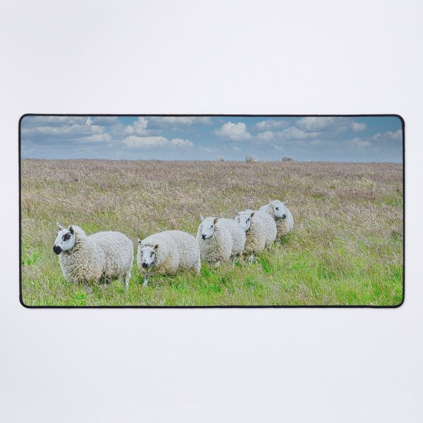 Item preview, Sheep in line on Lundy Island, UK designed and sold by Sailmates Reflections.