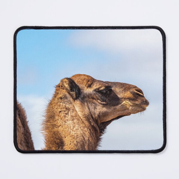 Item preview, Camel designed and sold by iCimages.net.