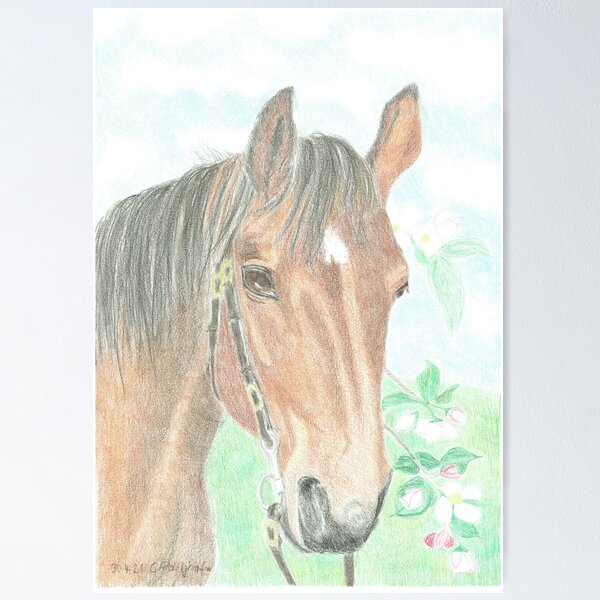 Item preview, Horse portrait of a Swiss mare designed and sold by Kunst-Grafik .