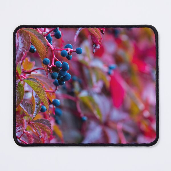 Item preview, Autumn berries designed and sold by iCimages.net.