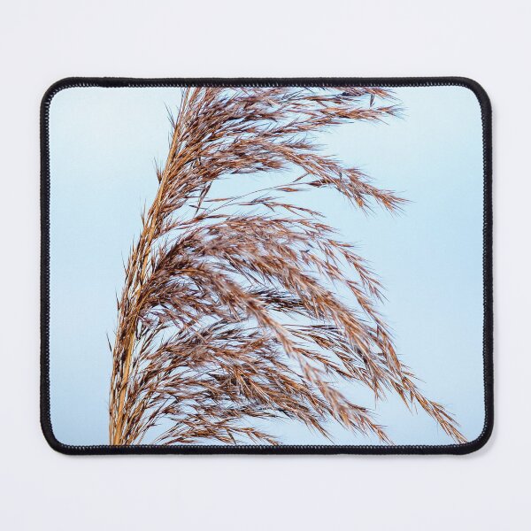 Item preview, A bull rush grass fluttering in the summer wind designed and sold by iCimages.net.