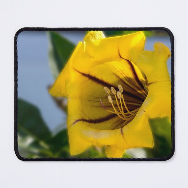 Item preview, Cup of gold yellow flower designed and sold by iCimages.net.