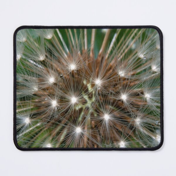 Item preview, Dandelion head designed and sold by iCimages.net.