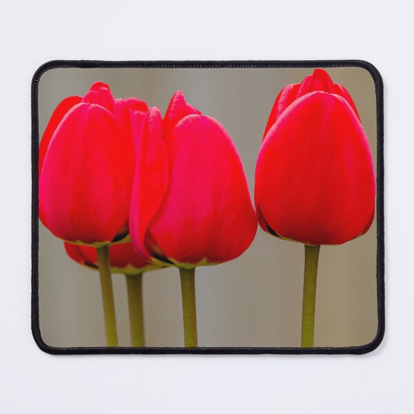 Item preview, Red tulip flowers designed and sold by iCimages.net.