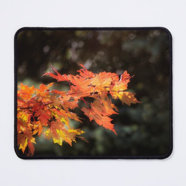 Item preview, Autumn Blaze Maple designed and sold by Kathy Weaver.