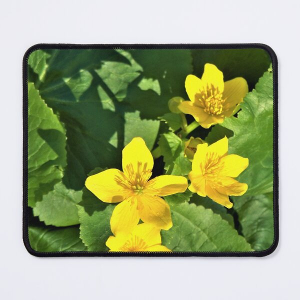 Item preview, Marsh Marigolds designed and sold by CJGrimes.
