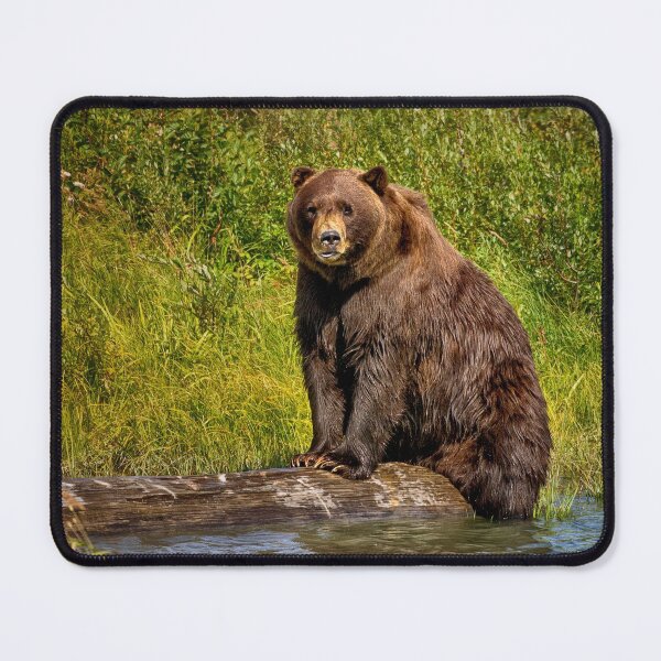 Item preview, Alaska Brown bear designed and sold by Kathy Weaver.