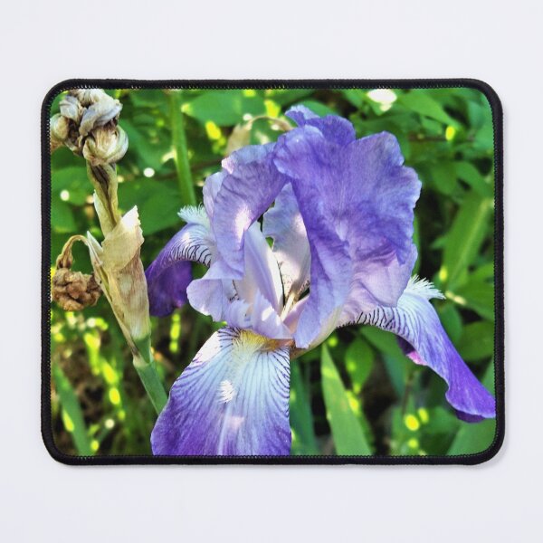 Item preview, Blue Iris designed and sold by CJGrimes.