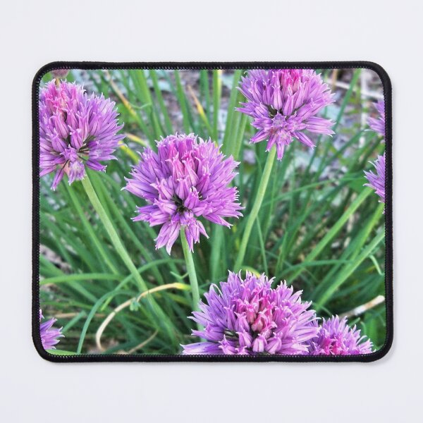 Item preview, Chives designed and sold by CJGrimes.