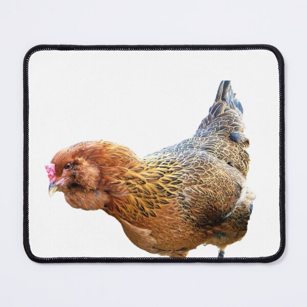 Item preview, Ameraucana designed and sold by CJGrimes.