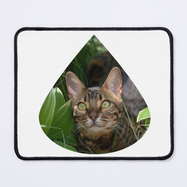 Item preview, Safari cat designed and sold by Goldenskik.