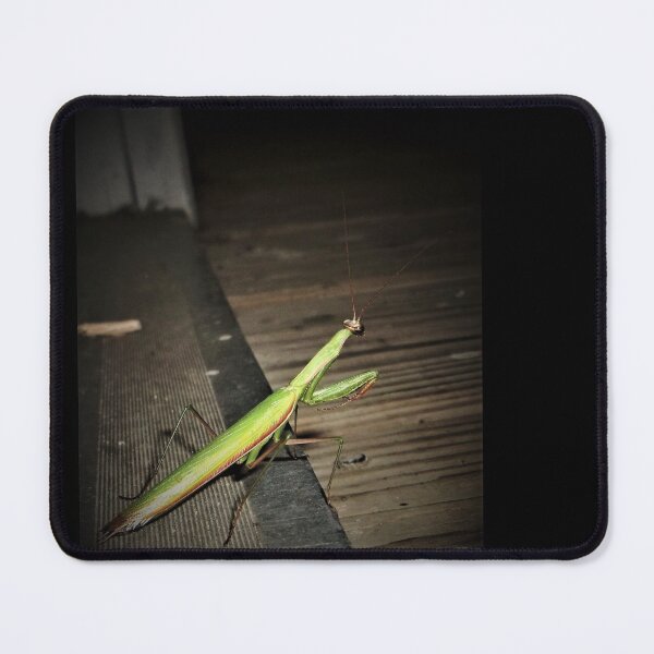 Item preview, Praying Mantis designed and sold by CJGrimes.