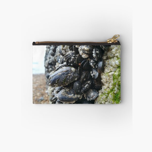 Item preview, Mussels clinging to wall on Brighton beach designed and sold by TheScraggyBeard.