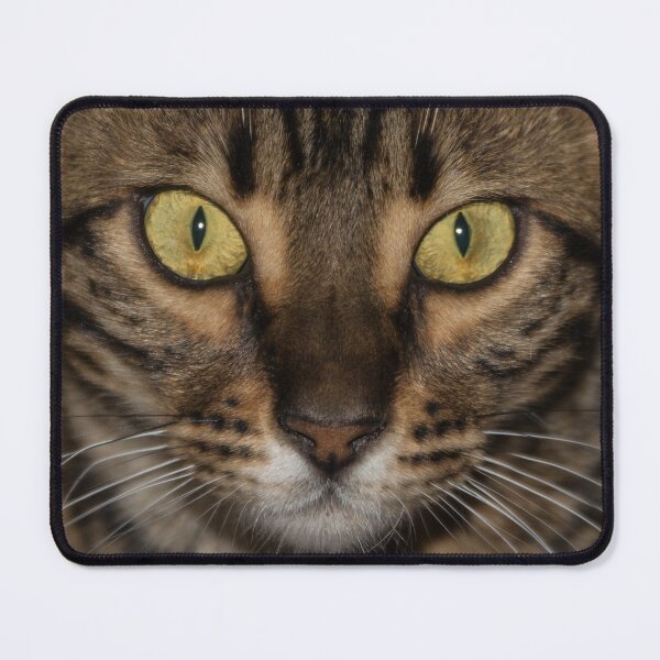 Item preview, Intense designed and sold by Goldenskik.