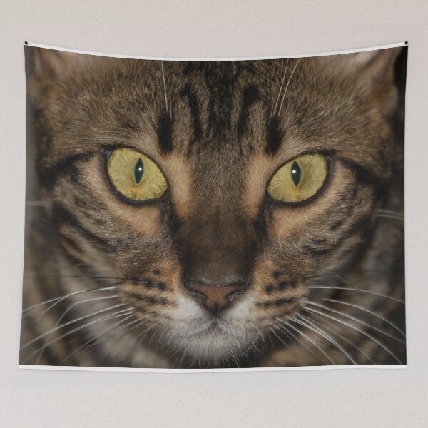 Item preview, Intense designed and sold by Goldenskik.