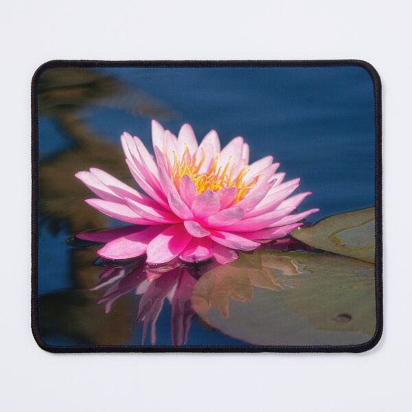 Item preview, Pink Water Lily Bloom designed and sold by Kathy Weaver.