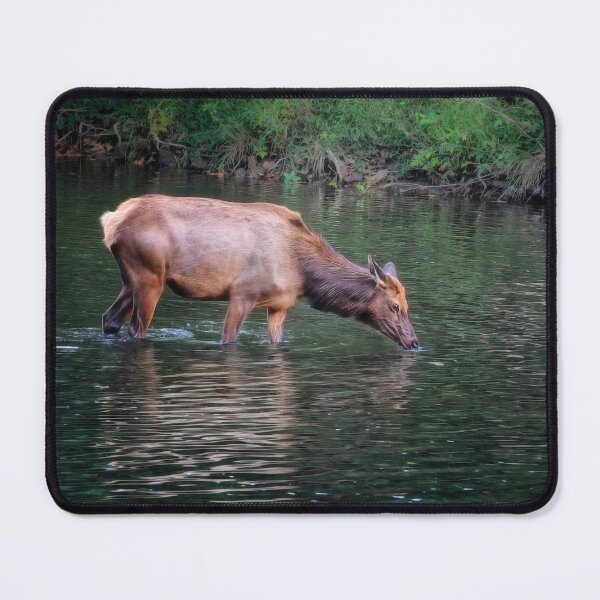 Item preview, An Elk in the River - Benezette, PA designed and sold by Kathy Weaver.