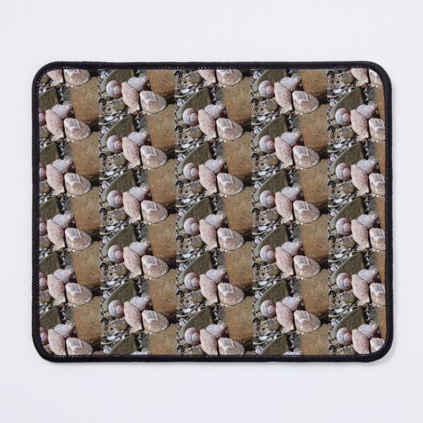 Item preview, Seashells at the Beach designed and sold by Beachy.