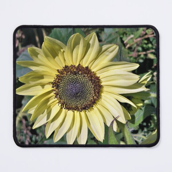 Item preview, Star of the Show designed and sold by CJGrimes.